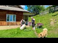 Download Lagu Het ontroerende verhaal van het leven van een ouder echtpaar in een bergdorp, ver van de beschaving