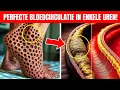 Download Lagu SENIOREN: De nummer 1 drank om beenslagaders te reinigen en slechte doorbloeding te stoppen!