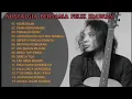 Download Lagu 𝗙𝗘𝗟𝗜𝗫 𝗜𝗥𝗪𝗔𝗡 𝗔𝗟𝗕𝗨𝗠 𝗧𝗘𝗠𝗕𝗔𝗡𝗚 𝗞𝗘𝗡𝗔𝗡𝗚𝗔𝗡