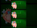 Lagu heartbeat in human body #youtubeshorts #facts #ytshorts #heart #fact #earningapps
