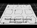 Reinforcement Learning Using Isaac Lab