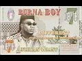 Burna Boy - Different (feat. Damian Marley and Angelique Kidjo) [Official Audio]