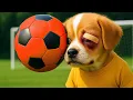 Download Lagu Baby Puppy Gets HIT at School ⚽😭He Was Injured \u0026 Sad 😢 But His Family’s Love Made Him a WINNER 🏆❤️