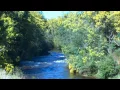 Tin Dragon  Trail Cottages Mov with soundtrack
