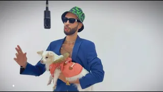                شيبا   سواج دندنها