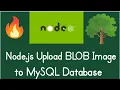 Node js Tutorial to Insert Read Image BLOB in MySQL Database Using mysql Library in Javascript