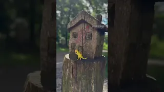 Sauvabelin is the green lung of Lausanne, Switzerland. We loved every minute here. @thelausanner