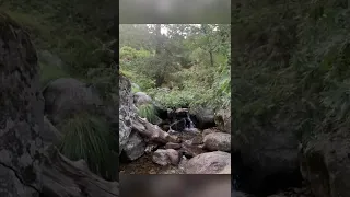 ايفيفا اسبانيا     رحلتي الى                                     دندنها