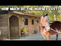 How Much Did My 4 HORSES COST ME IN JULY 2026