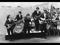 Psychotic reaction - Count five