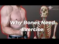 How Your Bones Change With Exercise
