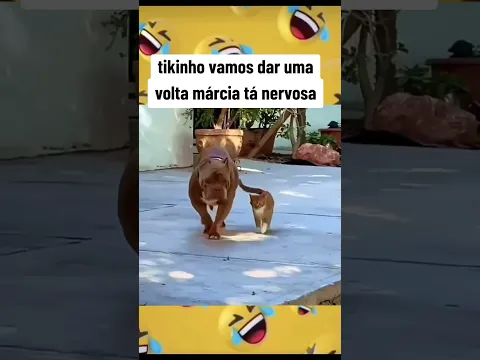 ALEGRIA E DIVERSÃO #humor #foryou #shortsviral #shorts #pets