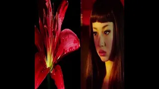 dark ambient c418 type beat