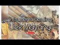Download Lagu Ulek Mayang Instrumental Seruling