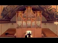 Lagu Nathan Laube – ORGAN CONCERT DOCUMENTATION – Fri, Dec 19, 2025 – Foss Church, Sweden