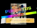 Download Lagu PURUNYUS - ABDI GADUH KABOGOH ANYAR | Lirik Lagu Pop Sunda