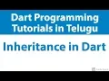 - Inheritance in Dart with Demo OOPs Inheritance Concept Dart Tutorials in English