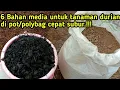 Lagu 6 BAHAN MEDIA INI.!! MEMBUAT DURIAN di POT / POLYBAG CEPAT SUSUR DAN BERBUAH.