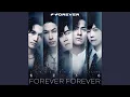 恆星不忘 Forever Forever