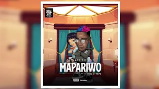  free zinoleesky mapariwo instrumental refix remake visualiser afrobeat