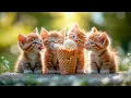 Download Lagu 🐾Kittens cook and eat ice cream!  | Cult of Kittens