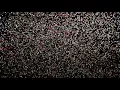 Advance Auto Parts Commercial