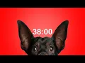 38 Minute Timer for School Homework Dog Bark Alarm Sound Improve Focus Productivity