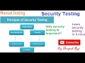 Security Testing Software Testing
