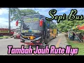 SUDAH SAMPAI SURABAYA BUS SEMPATI STAR...KEREN WARNA HITAM _ SCANIA 👍PENUMPANG SUDAH CAPEK DI JALAN