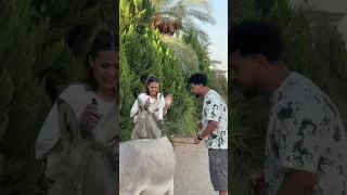 جبلها هدية جميلة جدا 