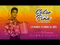 Celso Piña Y Su Ronda Bogotá - Cumbia Sobre El Río (Audio Oficial)