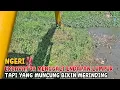Download Lagu NGERI‼️EXCAVATOR MENGGALI ENDAPAN LUMPUR TAPI YANG MUNCUNG BIKIN MERINDING KALI TELUK BUYUNG