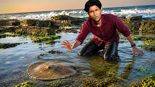 We Found This STINGRAY😳🔥 Struggling for Its Life… 🥺/JENISH KJ