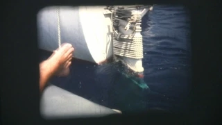 History of Bermuda Multihull Sailboat Races Part 1