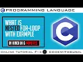 For nested in C programming In Hindi with Example Code with Sunil