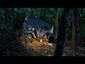 Lagu camping saat hujan deras membuat shelter sederhana di pinggir sungai tengah hutan