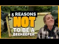 WATCH THIS Before You Start Beekeeping Beekeeping 101
