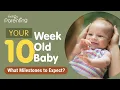 10-Week-Old-Baby - Development and Milestones to Expect