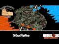 5 Cap FlipFlop Nebulous Fleet Command