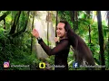 أطق إصبع - شمس / ردح - مارك الامريكي