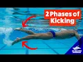 Freestyle Kicking Lesson 2 The 2 Phases of Kicking