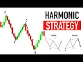 What is HARMONIC Movement Harmonic ABCD Pattern Trading STRATEGY With Examples made simple