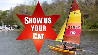 Show us your cat! Episode 52 Russia and USA