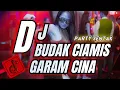 Download Lagu DJ BUDAK CIAMIS X GARAM CINE DIBAK DAN CACA - PARTY SENTAK REMIX