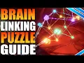 Necrotic Library Brain Link Puzzle Guide For Baldurs Gate 3