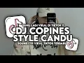 Download Lagu DJ COPINES STYLE CANDU BY DJ DANVATA VIRAL TIKTOK TERBARU 2025