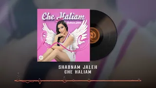 Shabanam Jaleh Che Haliam OFFICIAL AUDIO شبنم ژاله چه حالیم 
