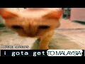 memes invented in people s dreams