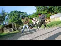 Olamide - Woske