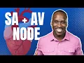 The Pacemaker of the Heart - SA and AV Nodes Made EASY